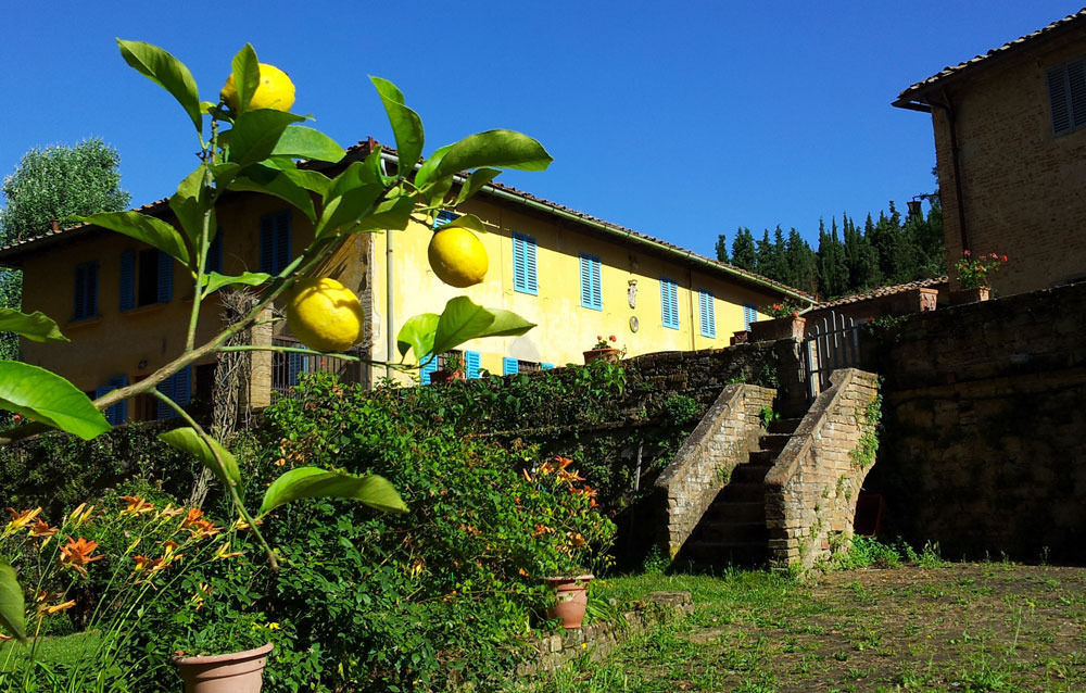 Bassetto Guesthouse & Apartments Certaldo Exterior foto